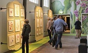 leyse-weelde-tentoonstelling